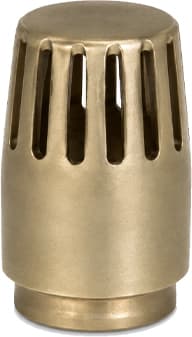 Foot Valve